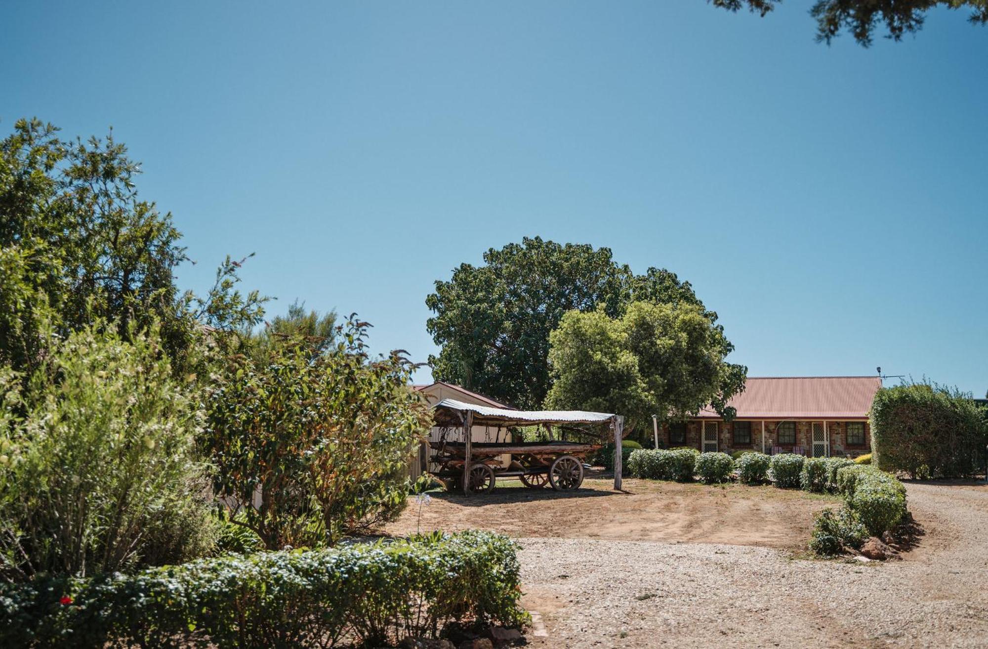 Langmeil Cottages Tanunda Εξωτερικό φωτογραφία